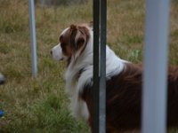 Sommertreffen 2018 - 034